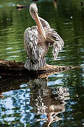 《黑神话：悟空》主创谈心路历程：迎难而上不惧困难